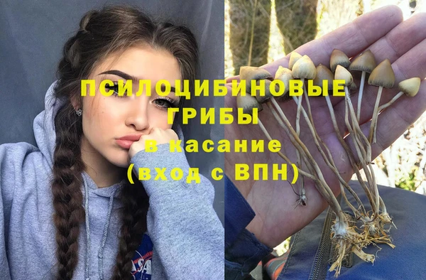 прущая мука Балахна