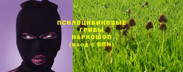spice Баксан